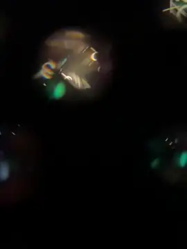 Syka0001 private show