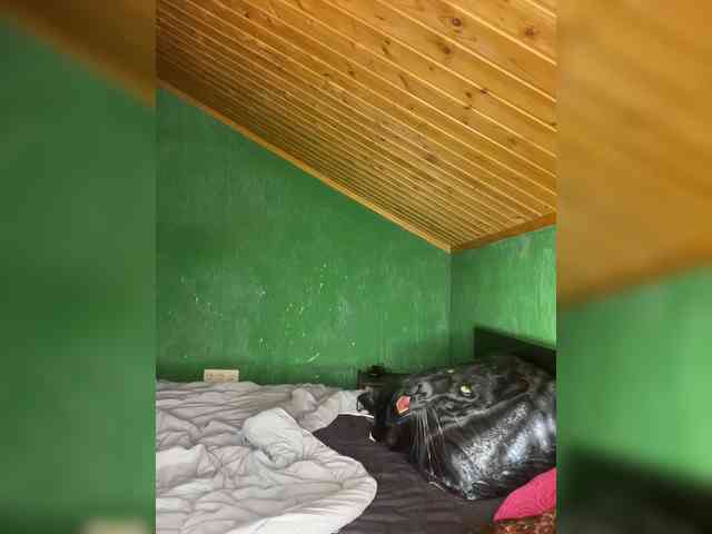 Vishenkakiss pvt camshow - 14/10/2023