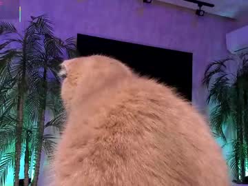 Jessiccaburns private camshow - 15.01.2024