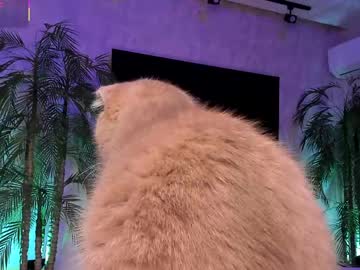 Jessiccaburns pussy show - 11/10/2023